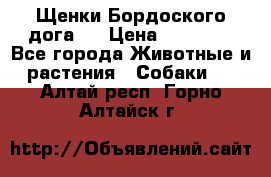 Щенки Бордоского дога.  › Цена ­ 30 000 - Все города Животные и растения » Собаки   . Алтай респ.,Горно-Алтайск г.